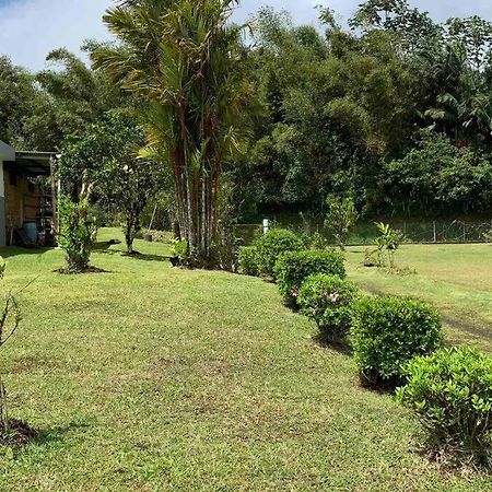 972B-Coin De Verdure Au Pied De La Montagne Pelee Le Morne-Rouge Luaran gambar
