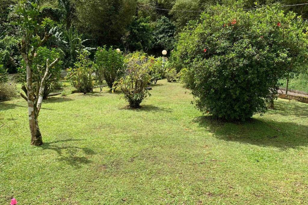 972B-Coin De Verdure Au Pied De La Montagne Pelee Le Morne-Rouge Luaran gambar